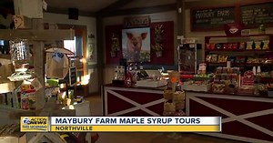 Maple Syrup Tours offered at Maybury Farm every weekend through March 31st