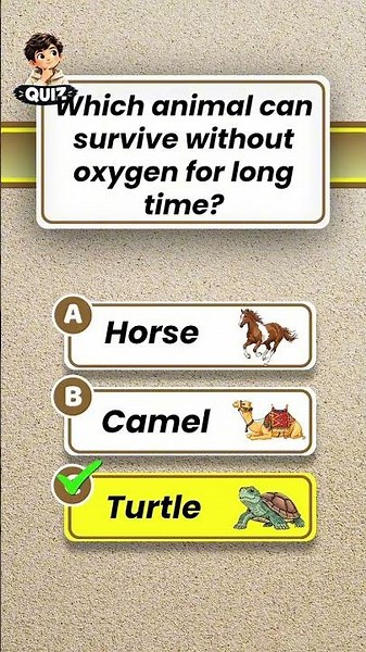 Animal Quiz Challenge! Can You Score 3/3? #shorts #animalquiz #animals #quiz #trivia