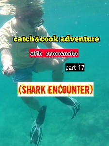 110K views · 3.8K reactions | Catch&cook adventure with commander part 17 (shark encounter) | SANO Boholano vlogstutorial | Facebook