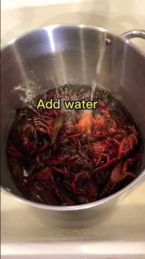 How to Cook the Perfect Crawfish Boil in Under 60 Seconds | Quick & Easy Crawfish Recipe for YouTube