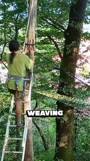 The crazy virality of treenets #shorts #viral #treenet