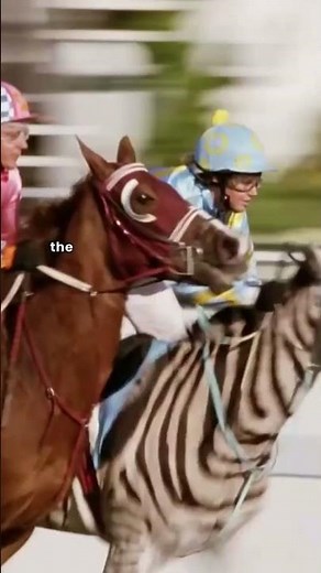 BEST HORSE RACING MOVIES! #movies #topmovies #mustwatch #horseracing