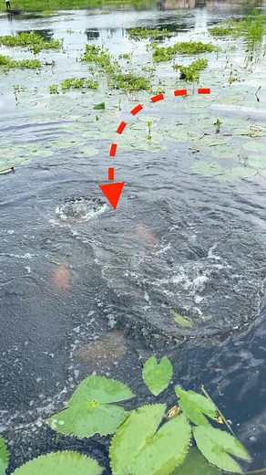 Primitive Fishing | Fishing Village