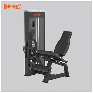[Hot Item] Gym Fitness Muscle Training Multi Seated Leg Extension Machine for High End Club