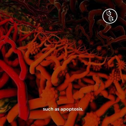 16 reactions · 11 shares | A group of Chinese scientists discovered...