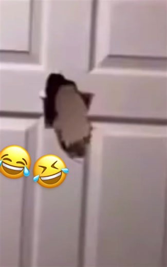 #memes #memestiktok #fyp #elmo