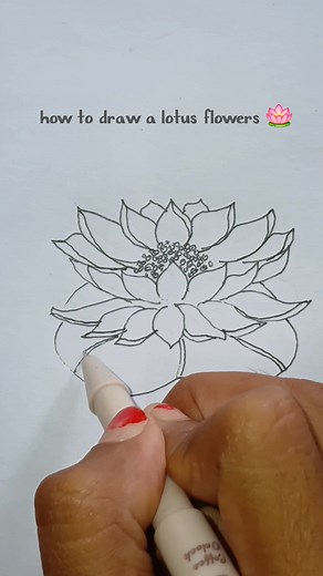 How to draw a lotus flowers for beginners step by step 🌸 #art #drawingtutorial #drawingflowers #drawingforbeginners #fyp #reels #viral #easydrawing #stepbystep | Amara Khansa