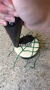 #reddit | Reddit Horror