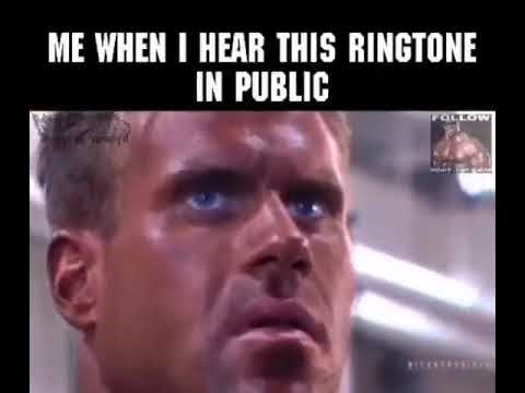 Me when I hear this ringtone in public meme