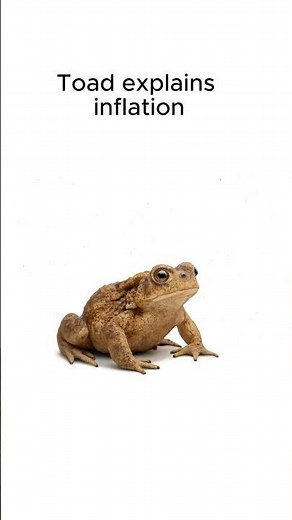 Inflation explained by a toad 🐸📈