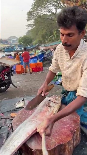 Mahi Fish Cutting 🐟 Perfect Clean Fillet Technique big fish #shorts #fish