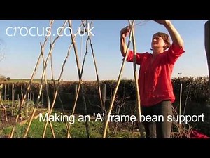 How To: Make an 'A' frame bean support
