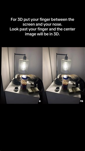 Midnight Prowl on the Nightstand #NinjaSurIcanVFX | 3D Animation