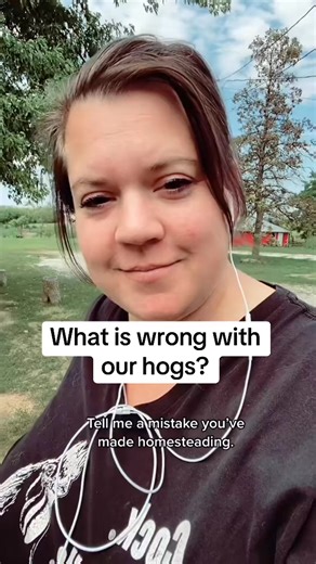 6.9K views · 169 reactions | This is one of my favorite stories of when we started homesteading back in 2014. It was 2015 I think when we picked up our first 4 little pigs and here is what happened one Sunday morning….. #mistake #hog #pigs #farmlife #homestead | The Little Red Farm | Facebook
