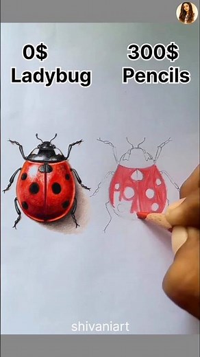 Draw a Ladybug 🐞#shorts #shortsfeed #art