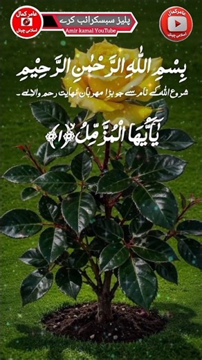 Beautiful Surah Muzammil Telawat | Surah Muzammil Telawat e Quran | Surah Muzammil Shorts |