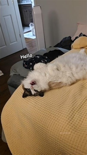 That last squeak she made 😭😍