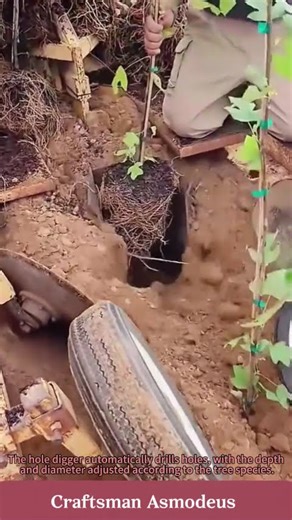 Automated mechanical tree planting operation #farming #bridgesaw #agriculturenews