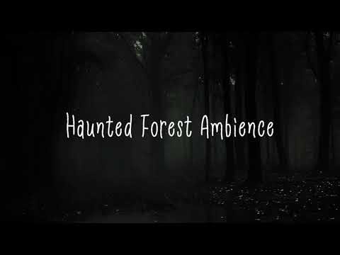 Haunted Forest Sounds | Eerie Nature Ambience for Sleep