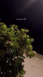 ﴿‏ نَبِّئْ عِبَادِي أَنِّي أَنَا الْغَفُورُ الرَّحِيمُ ﴾ .♥️ | ɴɪʀᴠᴀɴᴀ