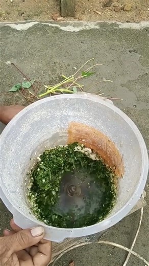 This is how to make animal feed with a machine that has been assembled yourself. #shorts #making