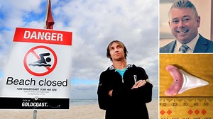 ‘I’m still shaky today’: Hero surfer tells of shark attack drama
