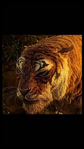 🌿🐾 The Jungle Book (2016) A breathtaking live-action adventure that brings Rudyard Kipling’s classic story to life. Directed by Jon Favreau, this film follows Mowgli, a young boy raised by wolves, as he journeys through the jungle guided by Bagheera and Baloo, while facing the danger of Shere Khan. ✨ Stunning visuals • 🎬 Photorealistic CGI • 🐒 Heart, humor & adventure ⭐ Cast: Neel Sethi (Mowgli) Voices by Bill Murray, Ben Kingsley, Idris Elba, Scarlett Johansson, Lupita Nyong’o & Christopher