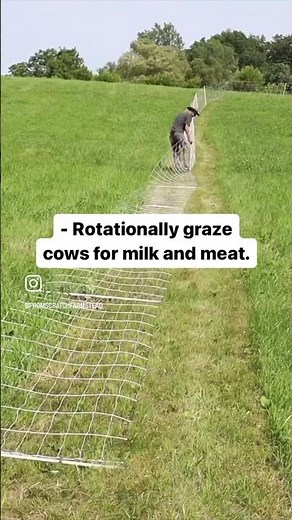 We Can Do This On 5 Acres! #homesteading