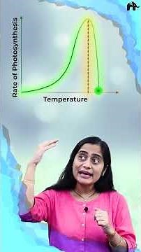 Class 11 Bio | Best explanation | Free videos | Photosynthesis in higher plants #concepcrystalclear