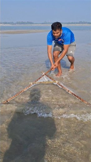 Shrimp fishing in the sleeping sea #bait