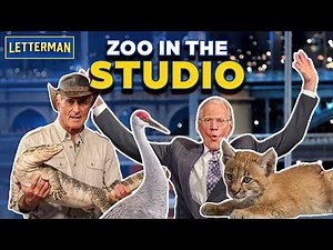 Jack Hanna Brings Exotic Animals | David Letterman