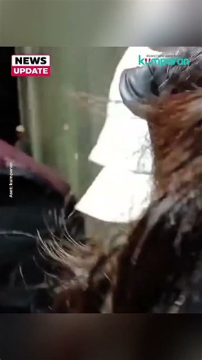 Momen Jule Dibawa Polisi Ke Tempat Rehabilitasi Usai Terjerat Kasus Vape Etomidate