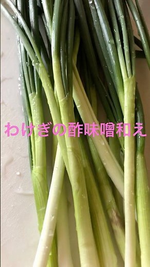 3月旬のお野菜 わけぎでわけぎの酢味噌和えを作ったよ