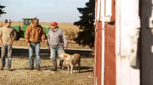 🚨We just launched the 3rd ad of our multimillion dollar ad buy!Iowa deserves a strong, conservative leader who will deliver results and put Iowa first.That’s why I’m running for Governor to work with President Trump to take Iowa to new heights and make life more affordable.