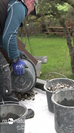 DIY in 60 Sekunden: Dachbegrünung leicht gemacht! #shorts #short