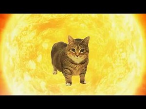 SRN - OIIA OIIA (Watching Cat) | The Cycle of Earth #OIIAOIIA #SpinningCat #EDM #MemeRemix