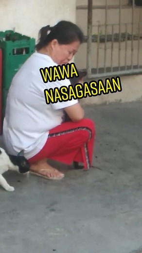 Cat gets hits by a car, owner crying a lot. #cat #catsoftiktok #deadcat #cataccident #crying #sadstory #fyp #foryou