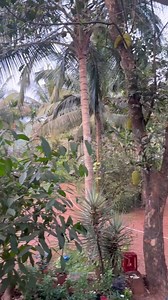 ADVT: Decathlon sports India brings to you’ll , summer festive sale with up to 60% off along with exciting coupon codes and bundle offers from 28th till the 31st March 2025. T&C apply Visit your nearest decathlon stores to claim these offers or shop online at decathlon.in | Prudent Media