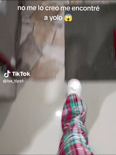 Encuentros Inesperados con Yolo Aventura