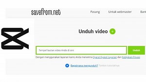 Gratis! Savefrom MP4 jadi MP3, CapCut Downloader Tanpa Watermark Online, Unduh No Aplikasi - Tribunkaltim.co