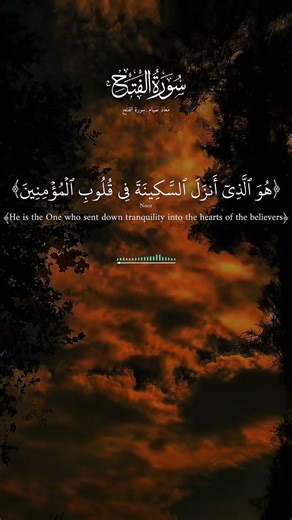 اللهم انزل السكينة على قلوبنا🤲♥️#راحة_نفسية#قرآن#quran#معاذ_صيام