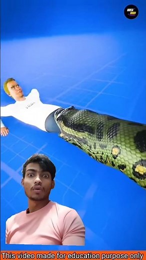 What Happens If a Snake Swallows a Human? #greenscreenfacts #sciencefacts #gfactstudio #didyouknow