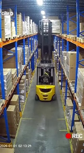 WHY IS THERE A BAND #nightvision #cats #wtf #fyp #chaos #3am