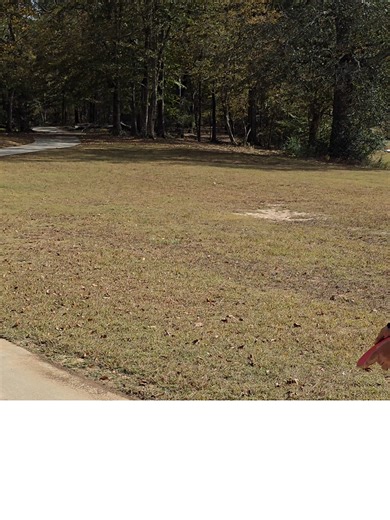 Exploring Axiom Hex in Disc Golf
