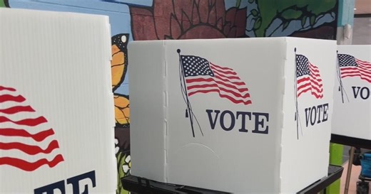 Americans for Citizens Voting submits 750,000 signatures for voter ID ballot proposal