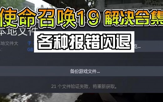 使命召唤19（cod19）闪退/报错/断连/无法改名/无法启动等问题解决合集