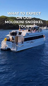 Start your day with Maui’s best snorkel tour to Molokini and Turtle Town! Book your spot aboard the Pride of Maui's Elua and sail in style! www.prideofmaui.com 🌊🐢 | Pride of Maui