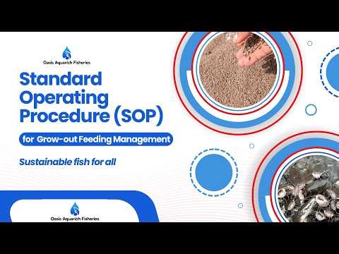 Standard Operating Procedures for Feed Management | Oasis Aquarich Fisheries Training