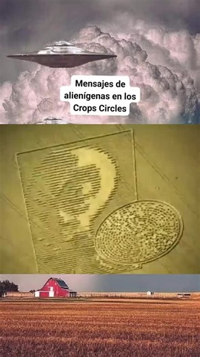 Mensajes de los extraterrestres en los cultivos de trigo