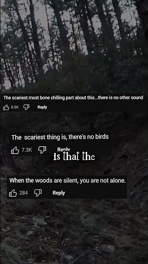 Two Skinwalkers Caught on Camera?! - Darkness Prevails